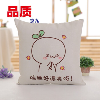 表情团子文字君可拆洗抱枕亚麻靠垫动漫周边生日礼物女 哇她好漂亮啊