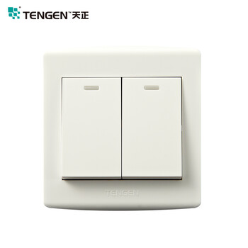 天正电气钢架开关插座面板 墙壁插座开关 二开