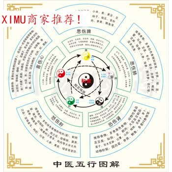 壁纸现代装饰画 中医五行图解 周易 易经 国学 中医养生 医学 淡黄色