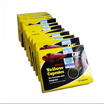 仟湖傲深OF观赏鱼龙鱼杀菌用特级黄粉胶囊龙