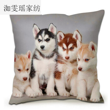 狗年哈士奇抱枕柴犬搞怪狗头表情包单身狗二哈抱枕神烦狗男生靠垫 小