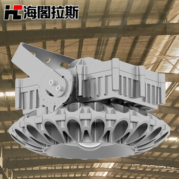 海阁拉斯 LED防爆灯 加油站厂房工矿投光泛光仓库车间照明灯具80W100W150W 80W支架式防爆灯 珠光银 暖白