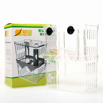 鱼苗繁殖 鱼卵孵化器 孔雀孵化盒 斗鱼孵化箱 锵