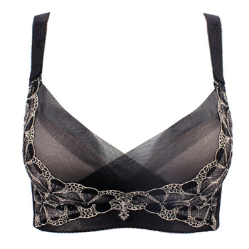 黑网下的星光(中)小组,黑网下的星光(中)价格比