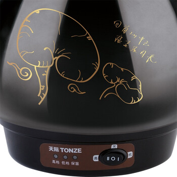 
                                        天际(TONZE)BJH-W200F养生壶煎药壶2L                