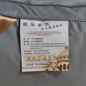 
                                                                                艺云阁 床垫床褥子 加厚保暖羽丝绒可折叠榻榻米床垫 单人双人宾馆酒店保护垫子 5cm厚床垫-白色 0.9*2米/0.9学生床专用                