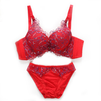 维拉朵WELADO蝶形刺绣收脂<em>文胸</em>套装1006B