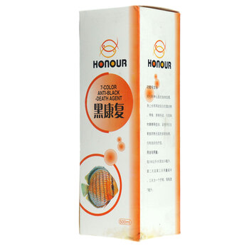 七彩神仙鱼黑复康 孔雀鱼腹康 观赏鱼 热带鱼 发