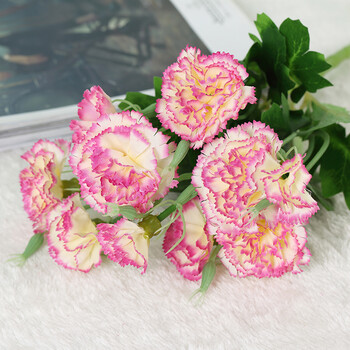苏茂康乃馨摆件花艺客厅装饰绢花假花仿真花束塑料藤编花盆花瓶香槟色