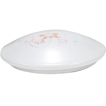 乾球（QAQ）FXD300-16WLY 福星系列LED吸顶灯 六月花 16W