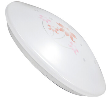 乾球（QAQ）FXD300-16WLY 福星系列LED吸顶灯 六月花 16W