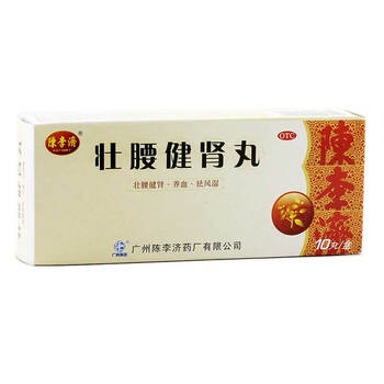 陈李济 壮腰健肾丸 5.6g*10丸