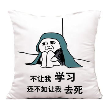 时尚学生抱枕创意礼物沉迷学习表情包靠垫动漫搞笑装逼 学生送礼品 不
