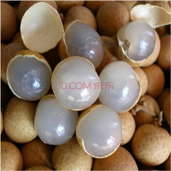 唯友 盆栽地栽龙眼桂圆苗嫁接果苗水果树苗 当