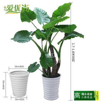 爱优尚上海 杭州同城配送 空间设计 办公室大型