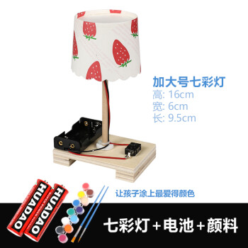 科技小制作小发明小学生马达玩具手工制作业电动创意diy科学材料 双翼