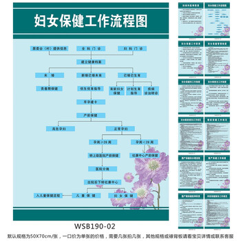 《医院科室挂图制度牌宣传画 妇女保健工作流