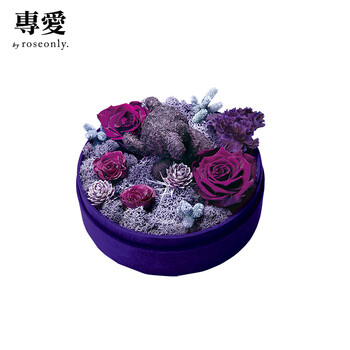 专爱roseonly子品牌-爱丽丝的邂逅永生花花盒全