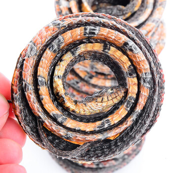 小花蛇 泡酒料 白花蛇银环蛇金钱白花蛇可搭配