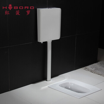 红菠萝卫浴PH-001 蹲坐便器带水箱套装 整套蹲