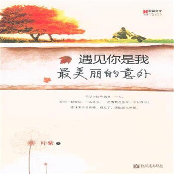 遇见你是我最美丽的意外【图片 价格 品牌 报价】-京东