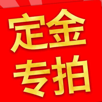 定金专拍链接 定金20