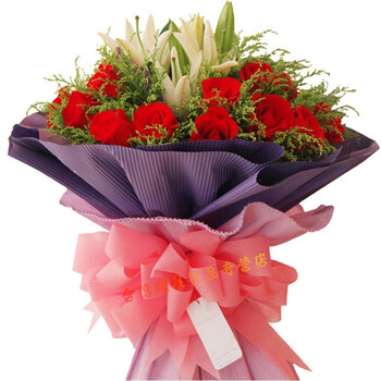 长沙望城宁乡株洲攸县茶陵炎陵冷水江市安乡桃