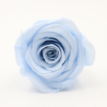 永生玫瑰花花材4-5cm保鲜干花真花diy钥匙扣材料 淡蓝色4-5厘米一朵