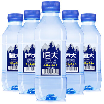 恒大 原味苏打水饮料 无糖 无汽 360ml*24 整箱