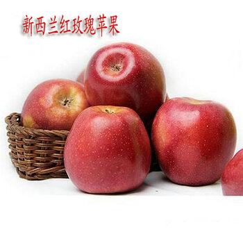 楚景 苹果树苗嫁接苗盆栽地栽南方北方种植红