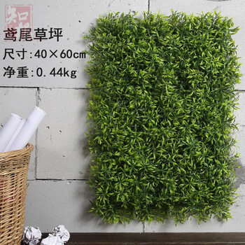 仿真处理人造草坪客厅空调墙植物加密绿植地毯阳台吊顶背景草皮墙集中植物不装饰仿真图片