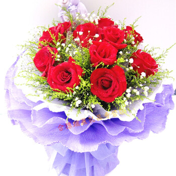 合肥南昌长沙厦门南宁成都福州西安昆明东莞沈