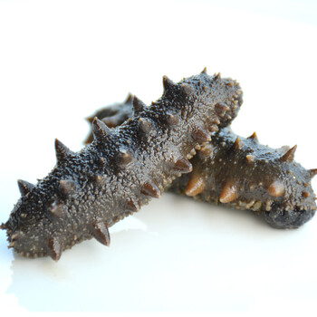 航路 半干海参 50克 3-6头 正宗辽刺参 顺丰直达