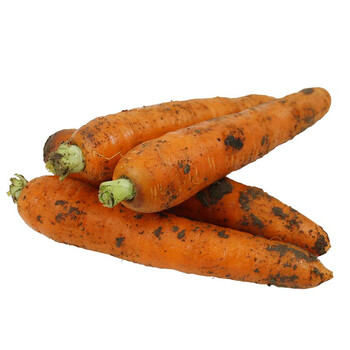 新鲜胡萝卜 红萝卜带泥蔬菜凉拌生吃 2.5kg