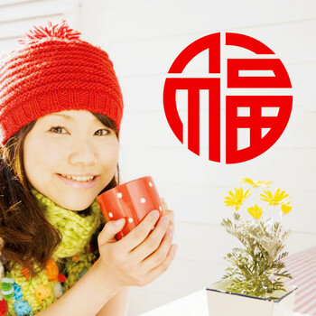 
                                        贴贴福 新年春节过年装饰品 玻璃贴纸福字贴门贴窗贴推手贴随手福字贴 红色 20*20cm                