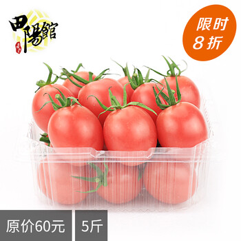 「广西特产」粉圣女果 5斤年货礼盒 新鲜 水果