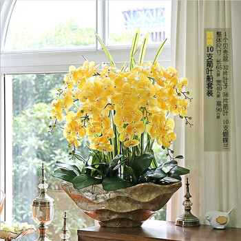 pu全手感仿真花蝴蝶兰套装假花塑料花卉玄关客厅酒店前台摆件室内落地