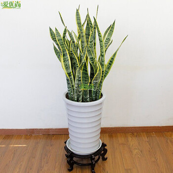 爱优尚上海杭州同城配送空间设计 办公室虎皮