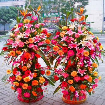 开张花篮邓州永城项城济源市鲜花店同城速递 