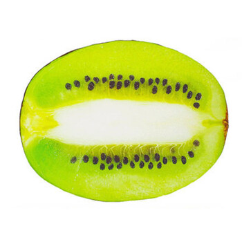 绒域坊春夏狗猫窝宠物垫水果中小型狗窝泰迪可