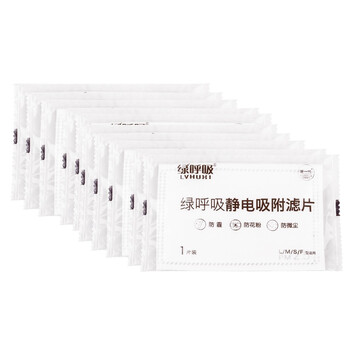 绿之源 绿呼吸口罩静电吸附滤片 防尘防霾防细微颗粒（10片装）
