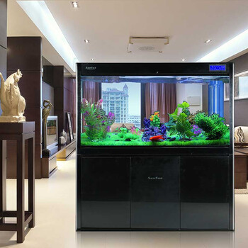 森森鱼缸水族箱玻璃鱼缸免换水生态龙鱼缸1\/1