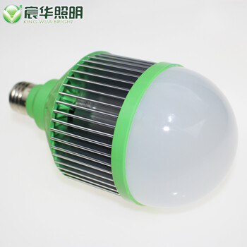 宸华照明宸华新款LED灯泡12W 15W螺口E27 小功率光源室内环保LED灯 15W 红光