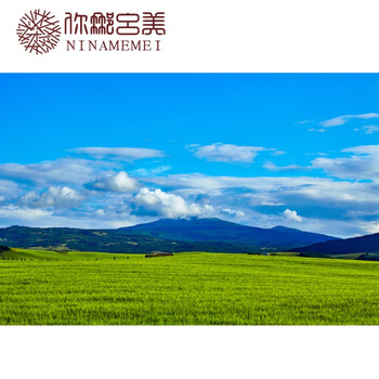 大自然风景画订做草原海报绿色草地草坡田园风光挂画装饰墙画定制