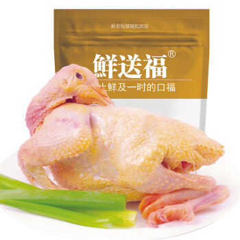 鲜送福 新鲜老鸽子肉 1只约450g/只（杀前约650g） 煲汤滋补优选