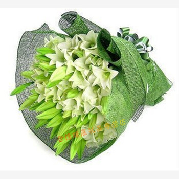 天津汉沽区大港区东丽区西青区津南区北辰区武