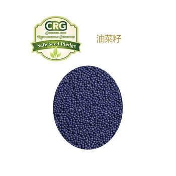 
                                        FASHY费许热敷袋德国原装进口热水袋热敷袋 深红色6397                