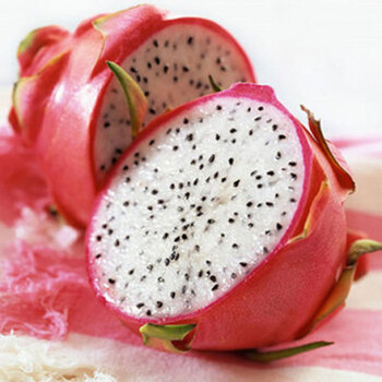 盆栽 红心火龙果 火龙果苗火龙果树苗 红白紫肉