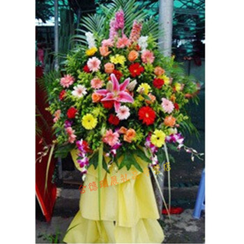 博兴邹平荷泽单成武巨野郓城鄄城定陶遂平新蔡