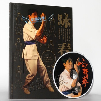 咏春拳基础入门教学视频教程全套木人桩 书+D